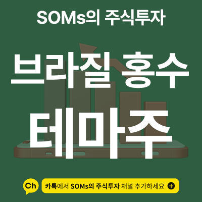 브라질 홍수 관련주 - 콩 가격 상승 테마주 - 개인적인 견해
