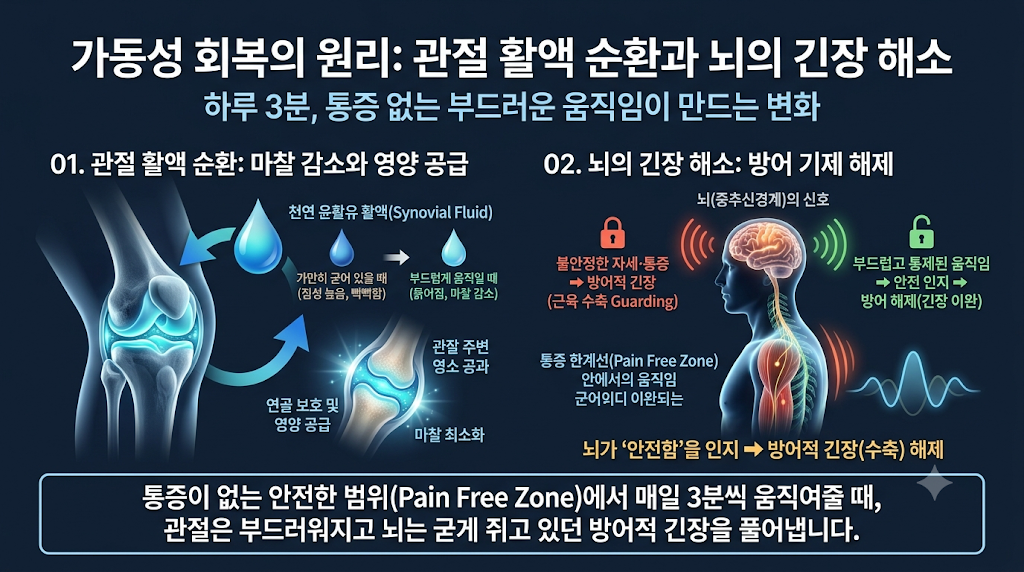 가동성 회복을 통한 관절의 원리파악