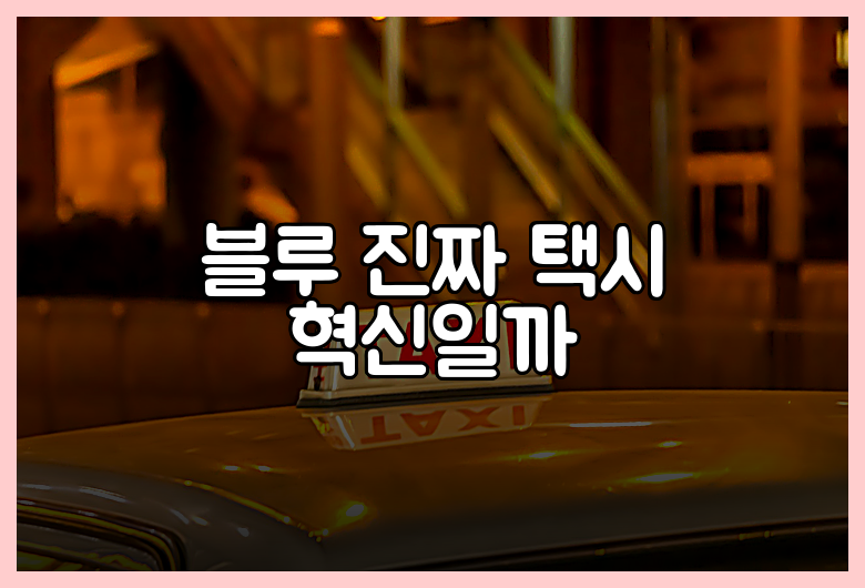 블루 진짜 택시 혁신일까