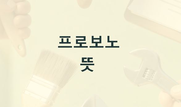 프로보노 뜻