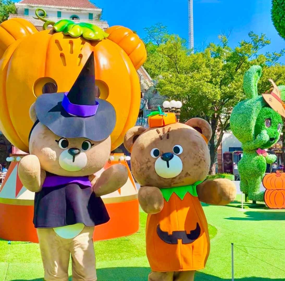 10월 지역 축제 가을 축제 정보