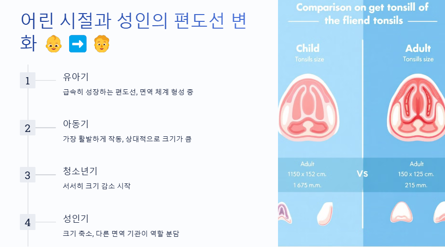 편도선이 붓는이유, 편도선염, 편도선염 증상, 편도선염에 좋은 음식, 편도선 증상