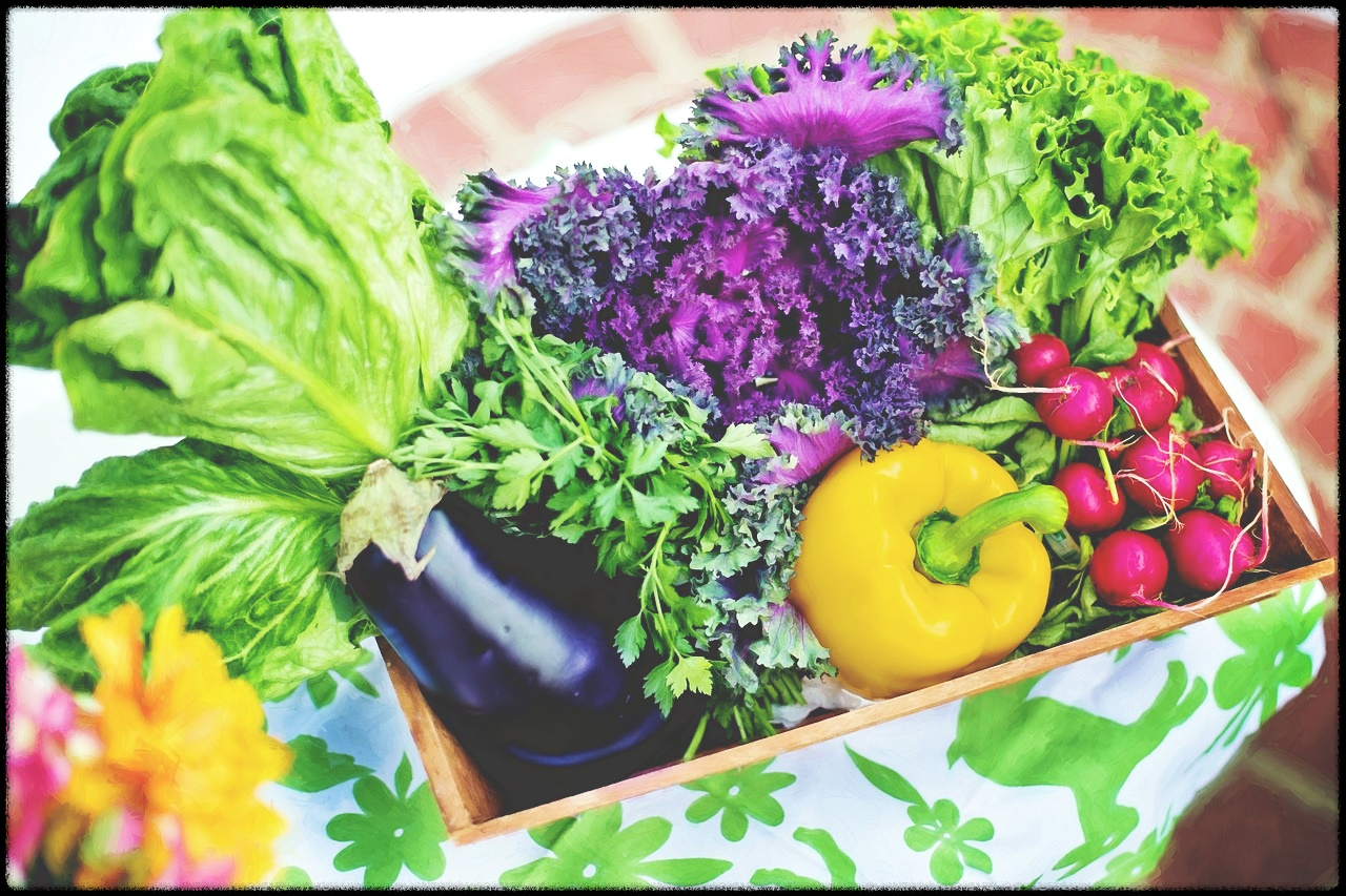 콜라비관련이미지16