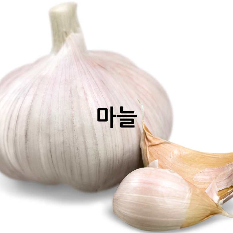 세계10대 항암식품