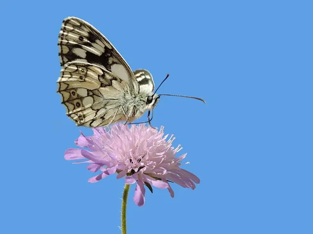 건축도장기능사 시험일정 및 합격 총정리_8