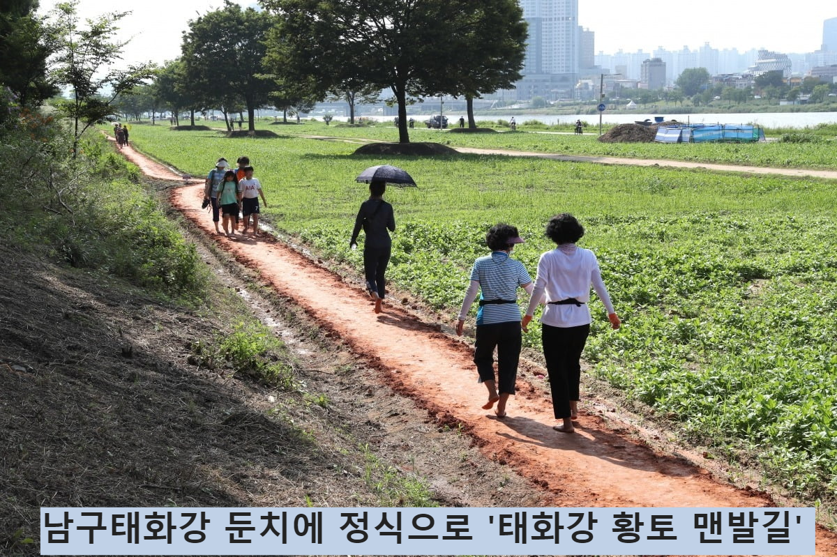 태화강 둔치에 정식으로 &amp;#39;태화강 황토 맨발길&amp;#39;을 개통해 운영