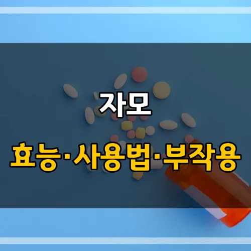 자모_썸네일_이미지