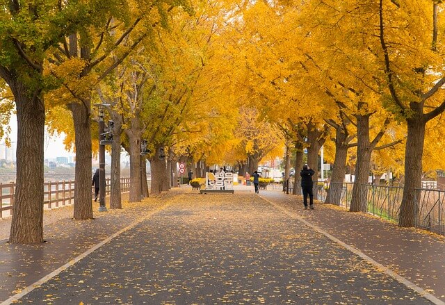 오대산 가을 단풍여행