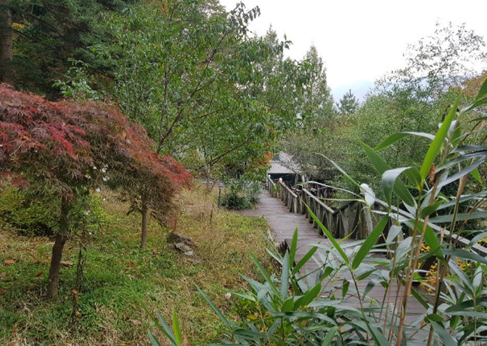 청평자연휴양림