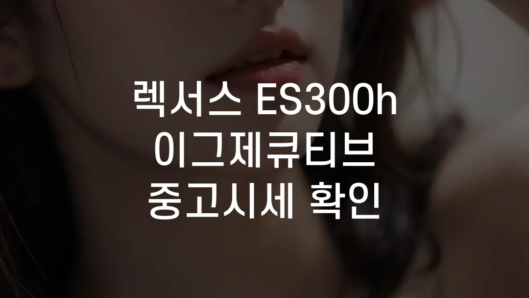 렉서스 ES300h 이그제큐티브 중고시세 확인