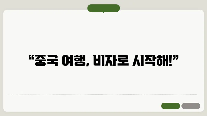 중국 관광 비자 신청