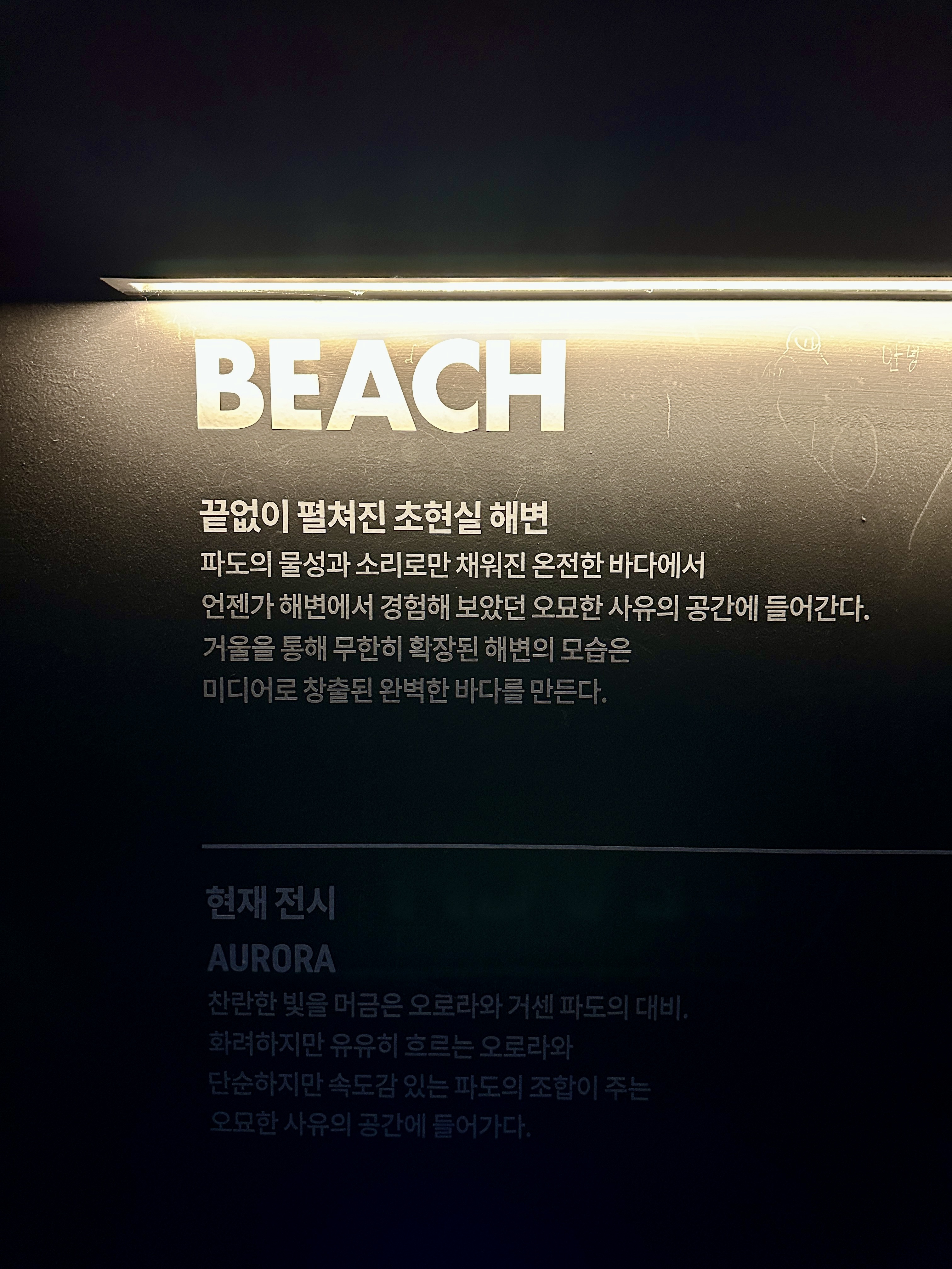 강릉 아르떼 뮤지엄 비치