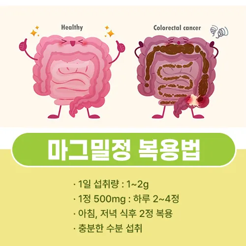 마그밀정 복용법