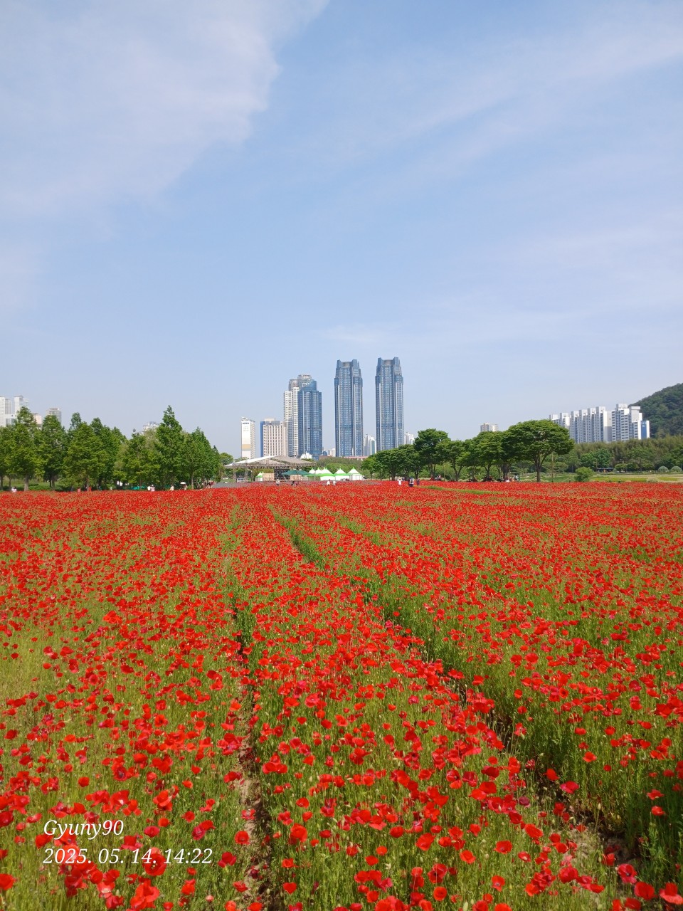 태화강변 전경