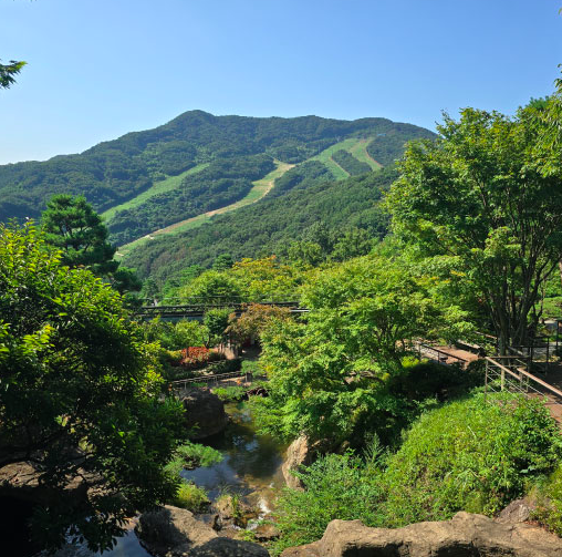 화담숲 예약 팁