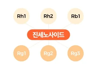 홍삼정 선물 진세노사이드 함량 제형 스틱 복용 편의 위주 선택 가이드_6