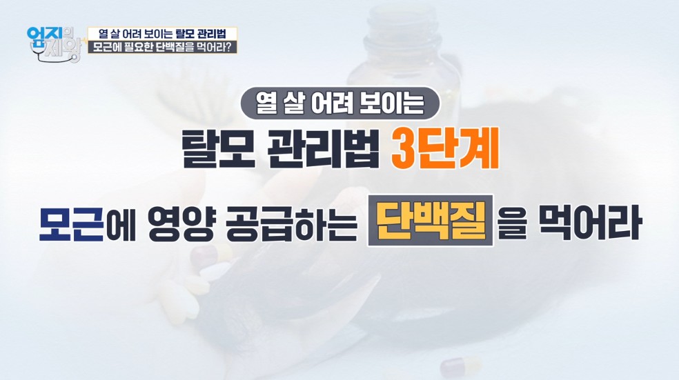 모발엔 단백질!!