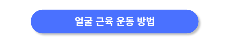 버튼