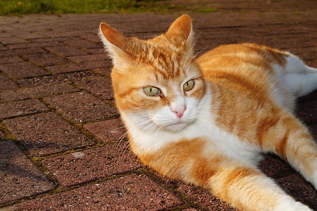 수능 후 멘탈 관리! 우울감 극복 힐링 콘텐츠 지금 바로 보기
