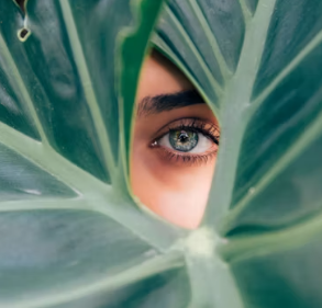 황반변성 치료법 자가진단 방법 합병증