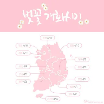 벚꽃 만개시기 2025 숨겨진 명소 베스트3_12