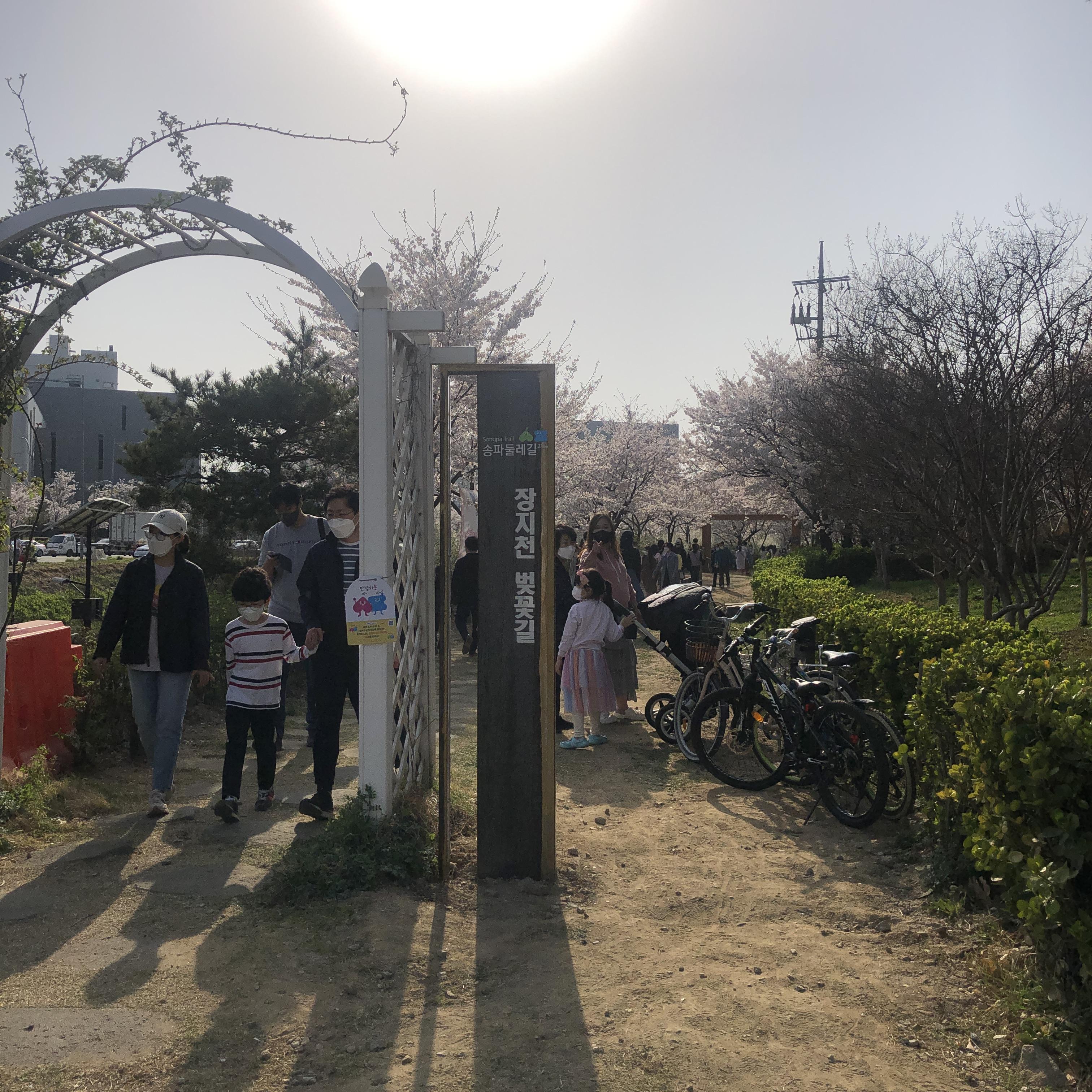 자연별곡 가든파이브 NC송파점 방문 후기(feat. 이랜드 잇츠 멤버십 포인트가 모두 사라졌다.) - undefined - 가든파이브 옆 장지천 벚꽃길도 꼭 걸어보세요. 자연별곡 가든파이브 NC송파점 방문 후기(feat. 이랜드 잇츠 멤버십 포인트가 모두 사라졌다.) - undefined - 가든파이브 옆 장지천 벚꽃길도 꼭 걸어보세요.