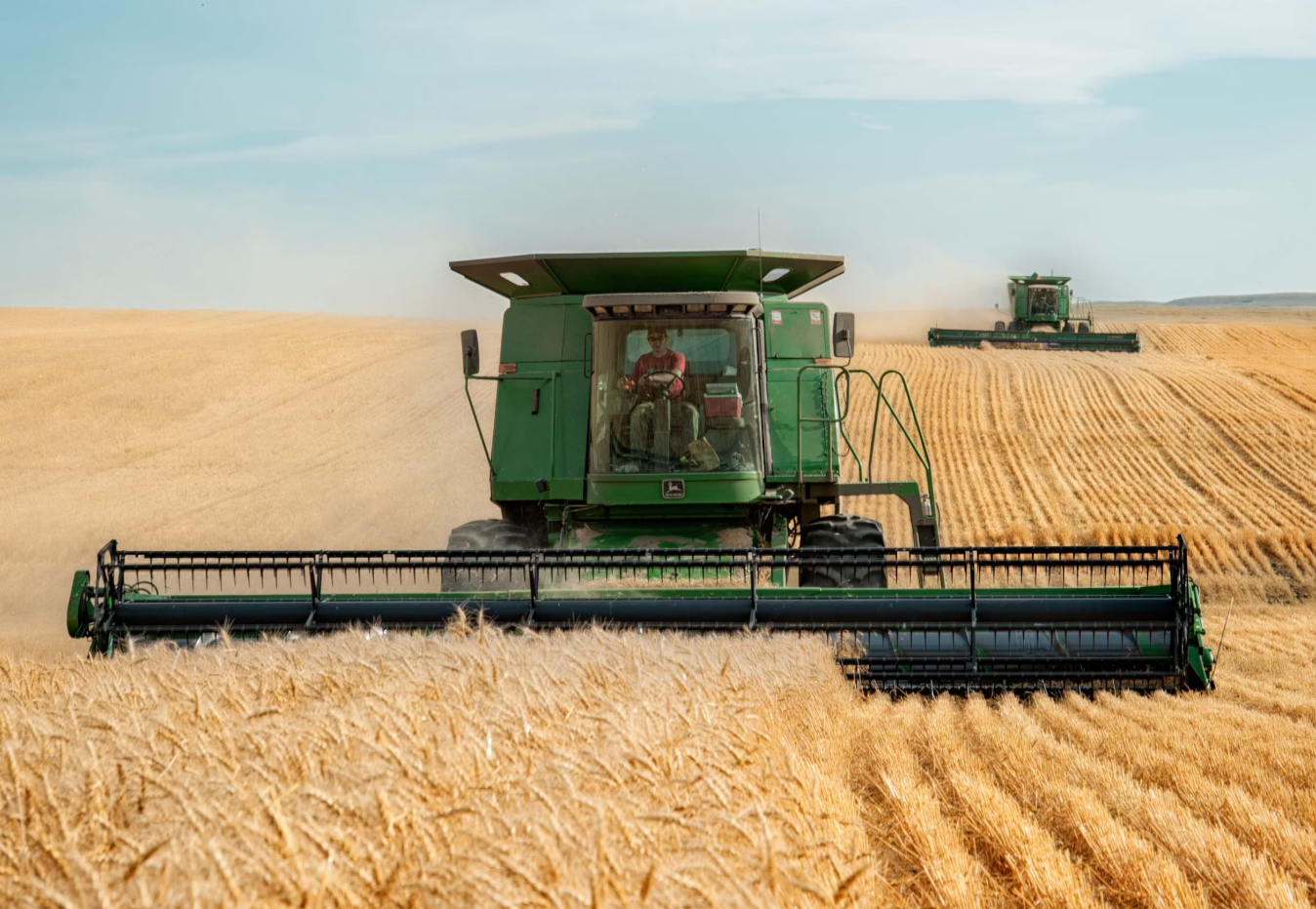밀-밭-수확하고-있는-트랙터-사진