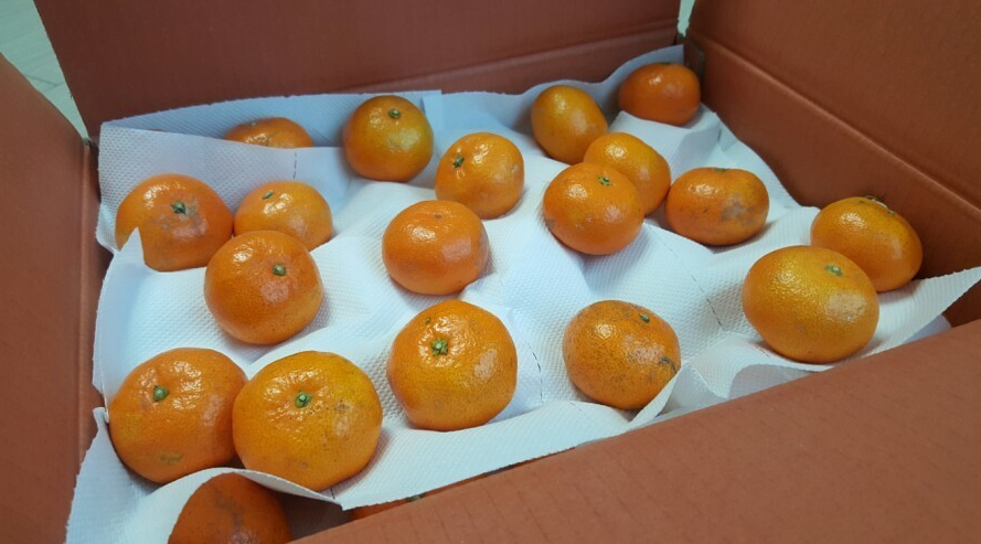 귤 먹을 때 주의할 점