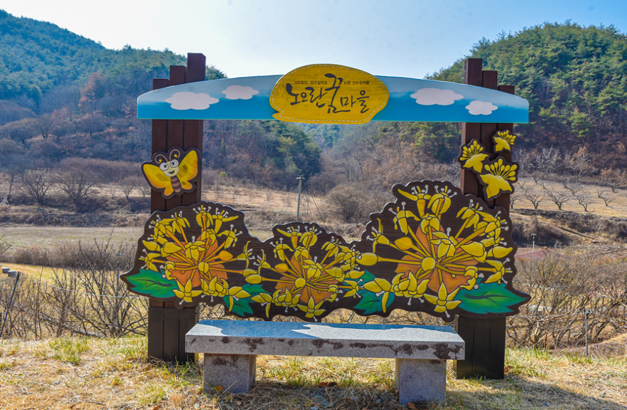 의성산수유축제