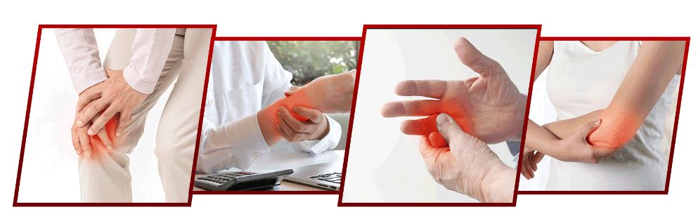 호관원-프리미엄골드-효과-효능