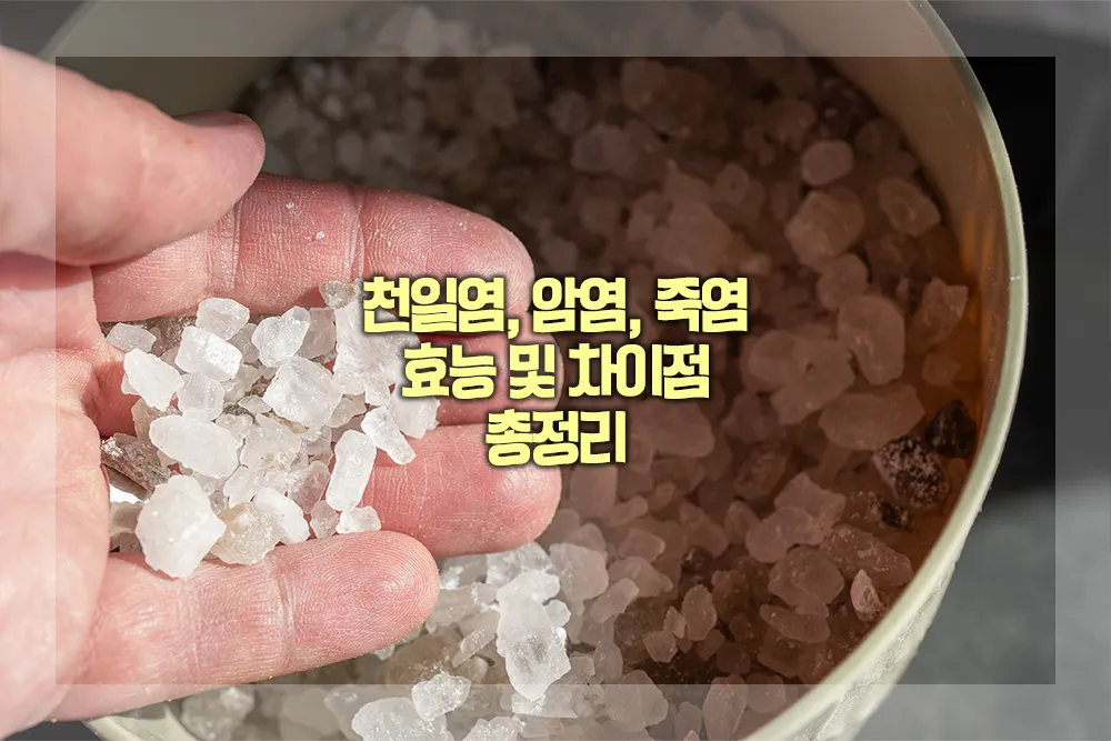 천일염 암염 죽염 효능 차이점