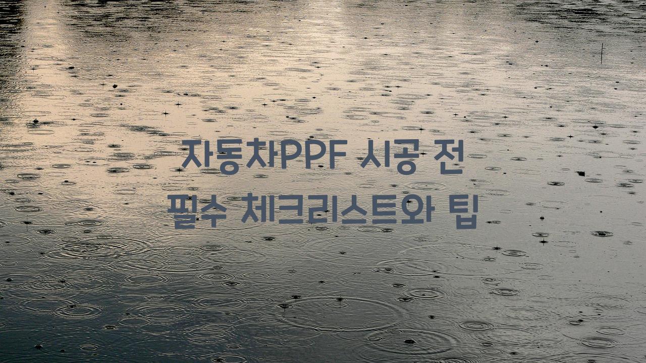 자동차PPF