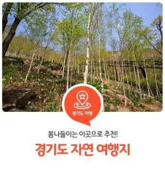 경기도 봄 여행지 추천 10곳 완벽 코스 가이드북_41