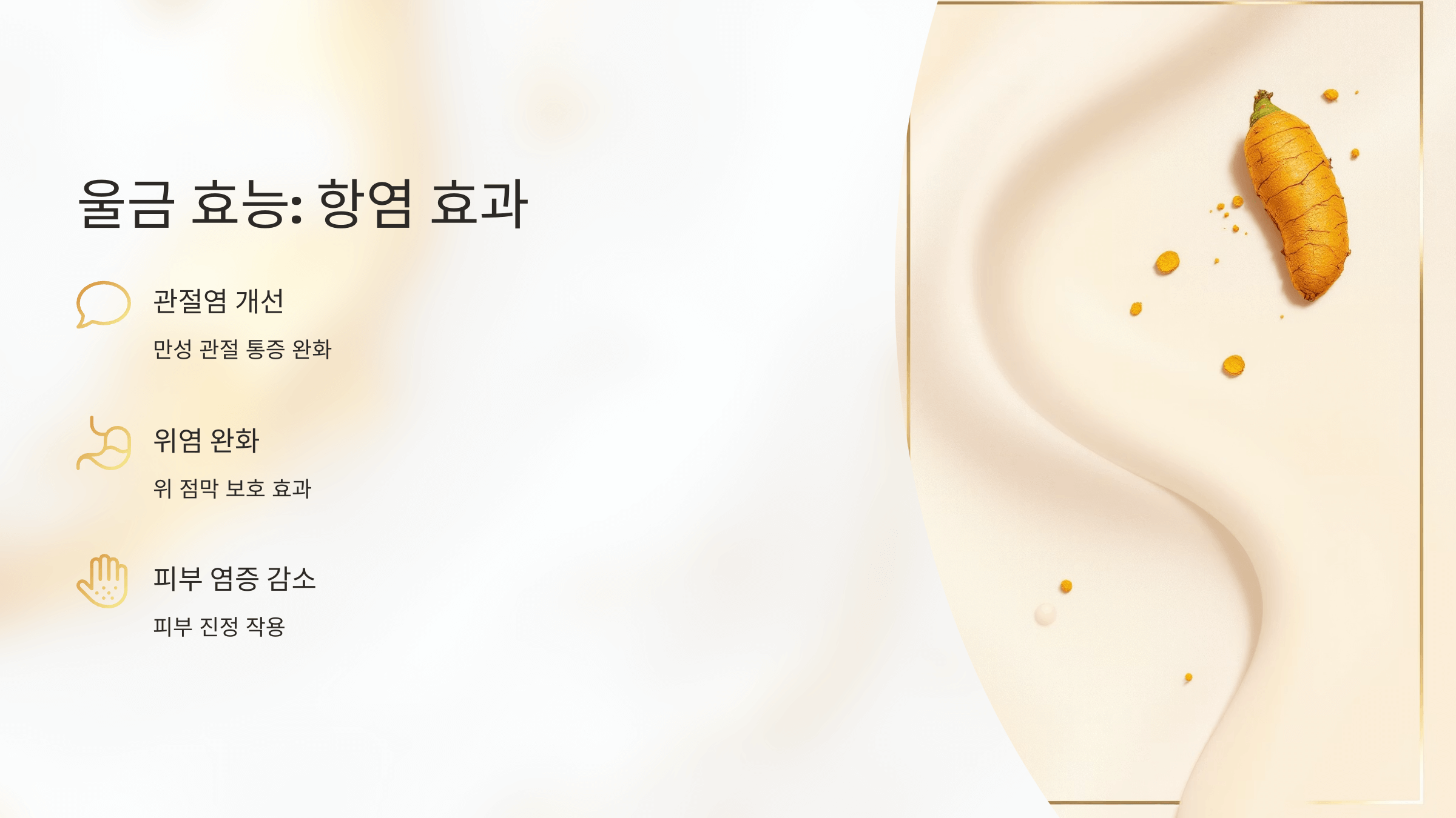 울금 사진입니다.