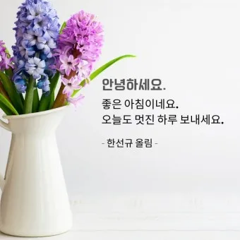 아침 인사말 이미지 모음 밝고 따뜻한 하루 인사 문구 정리_25