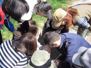 경북대학교 최문보 교수 말벌 전문가