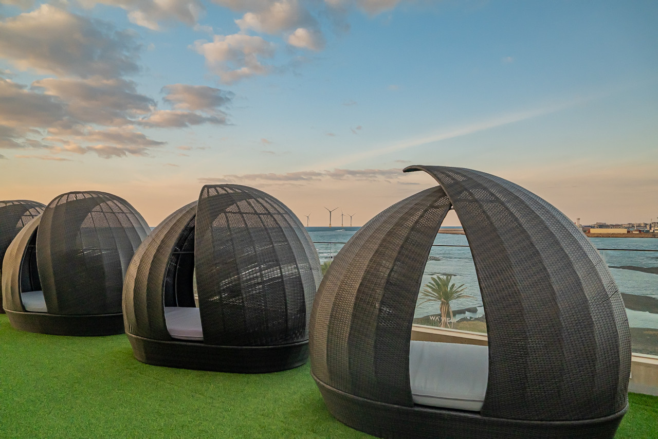 웨이뷰 메밀꽃 축제