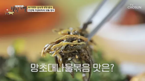 백반기행-청국장-산채비빔밥-양양