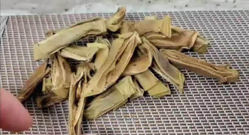 작두콩차 효능 10가지 및 부작용과 먹는 법&amp;#44; 작두콩차 만드는 법