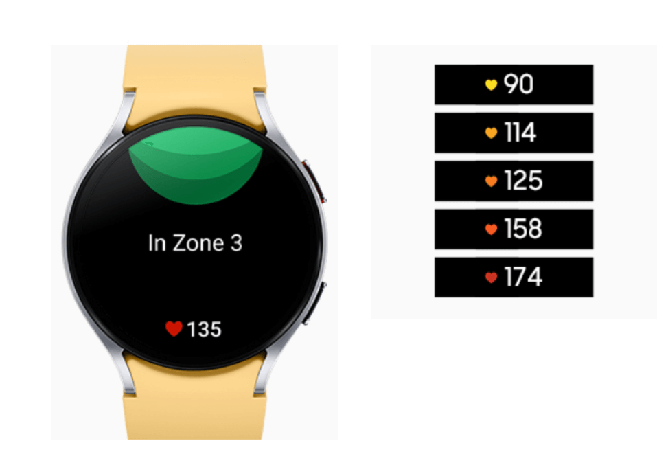 갤럭시워치 5 6 비교