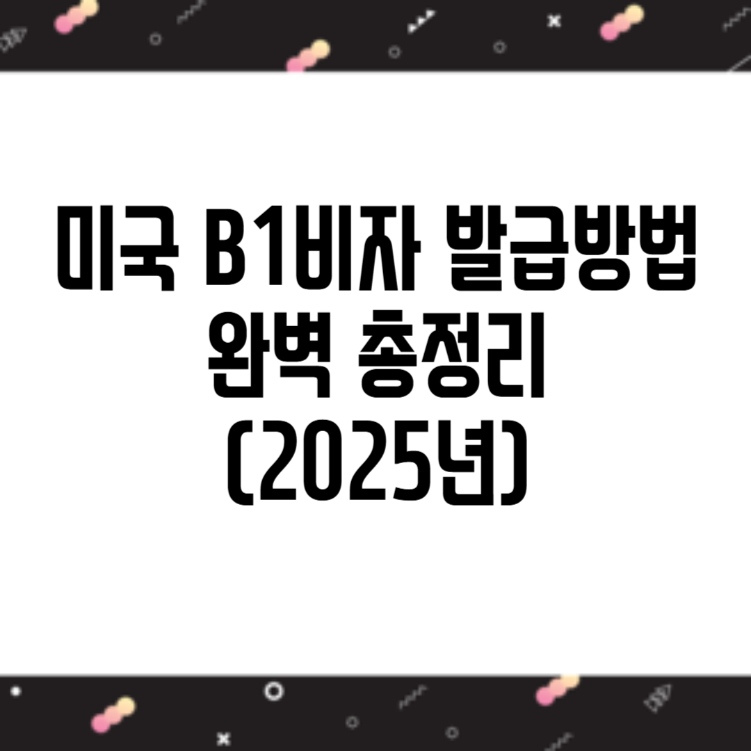 b1비자
