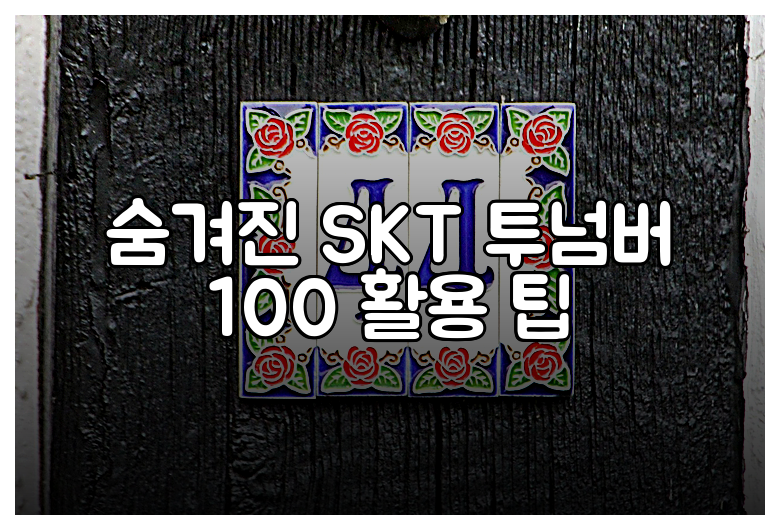 숨겨진 SKT 투넘버 100 활용 팁