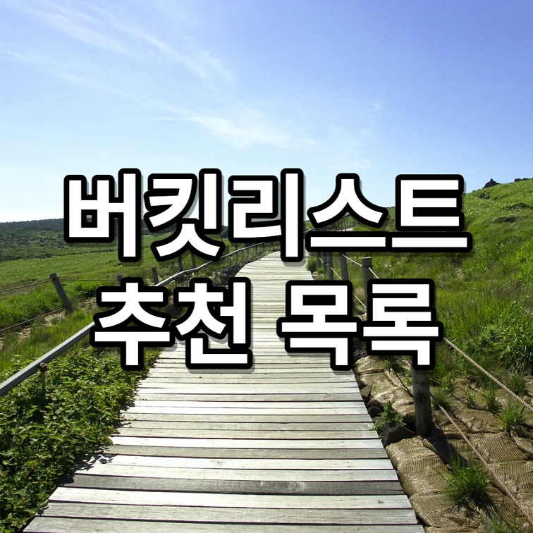 버킷리스트 추천 목록