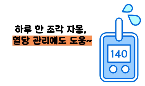 자몽 효능