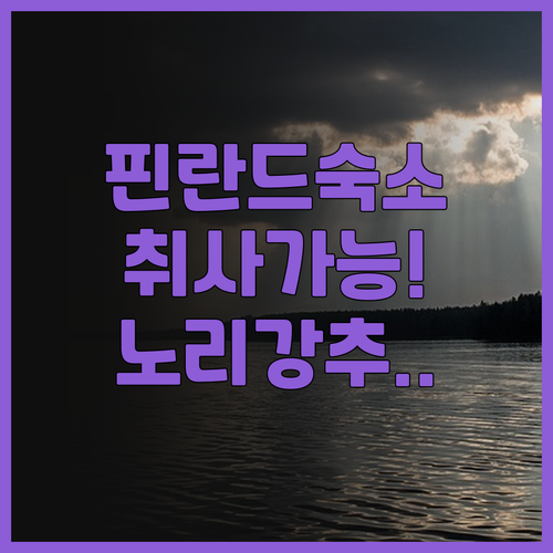 노리 오타니에미 후기 핀란드 에스포 ..