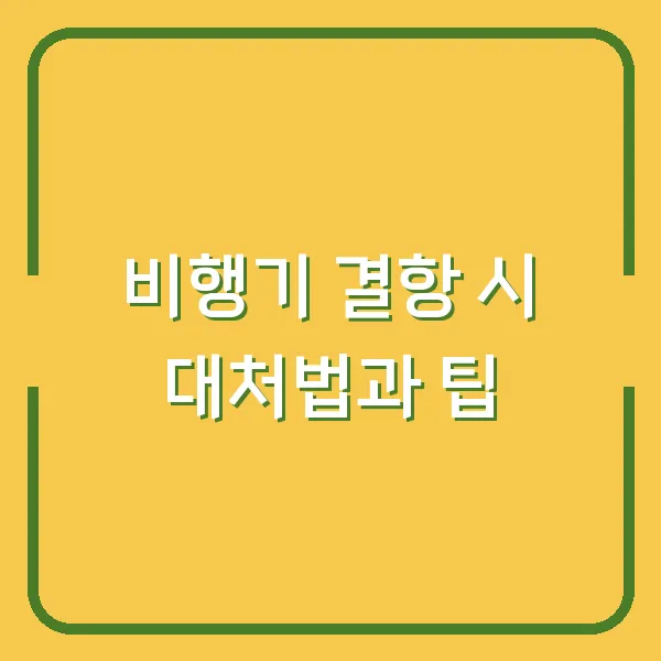 비행기 결항 시 대처법과 팁