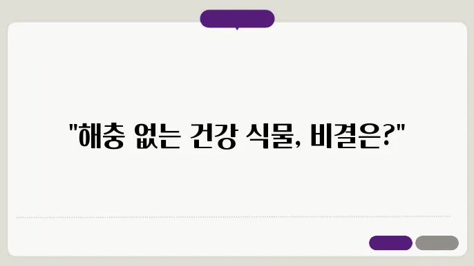 실내 식물 해충 관리 방법