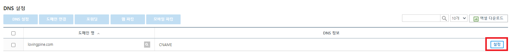 DNS 설정
