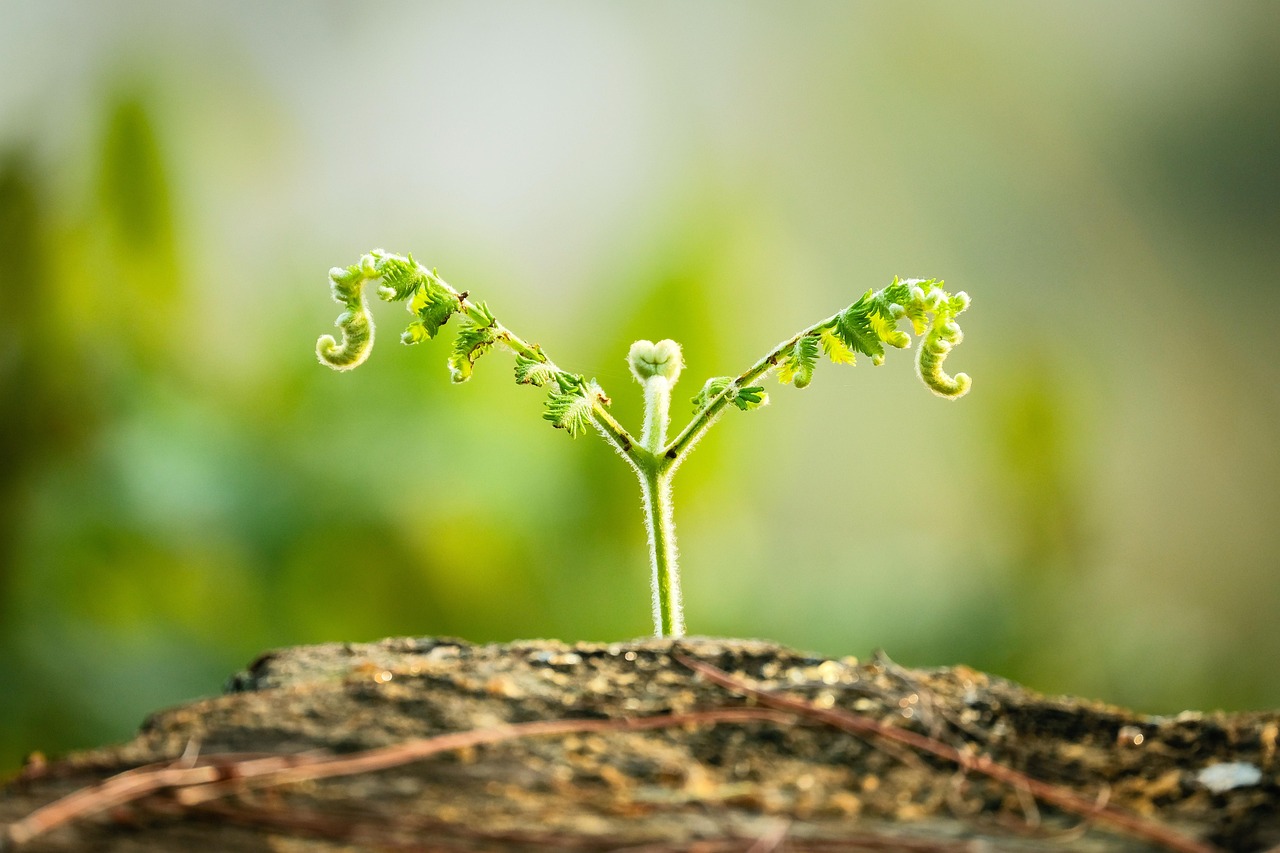 국민내일배움카드 자격 요건과 훈련비 지원 한도