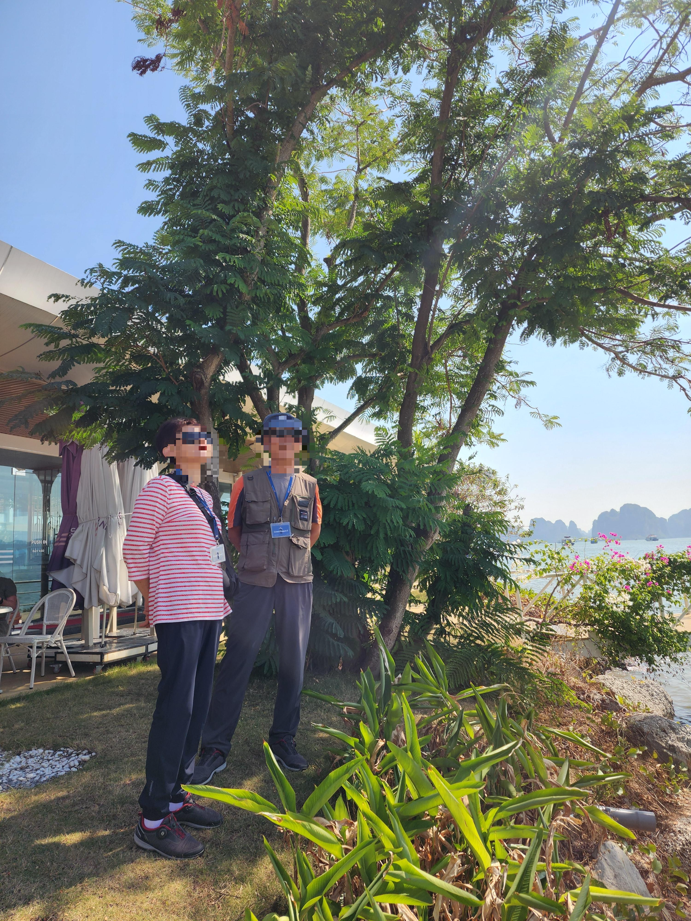 그랜드 파이어니스